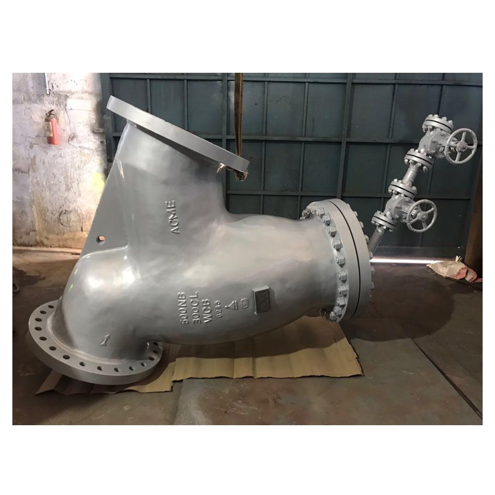 20Inch 300Class Y strainer for PDO