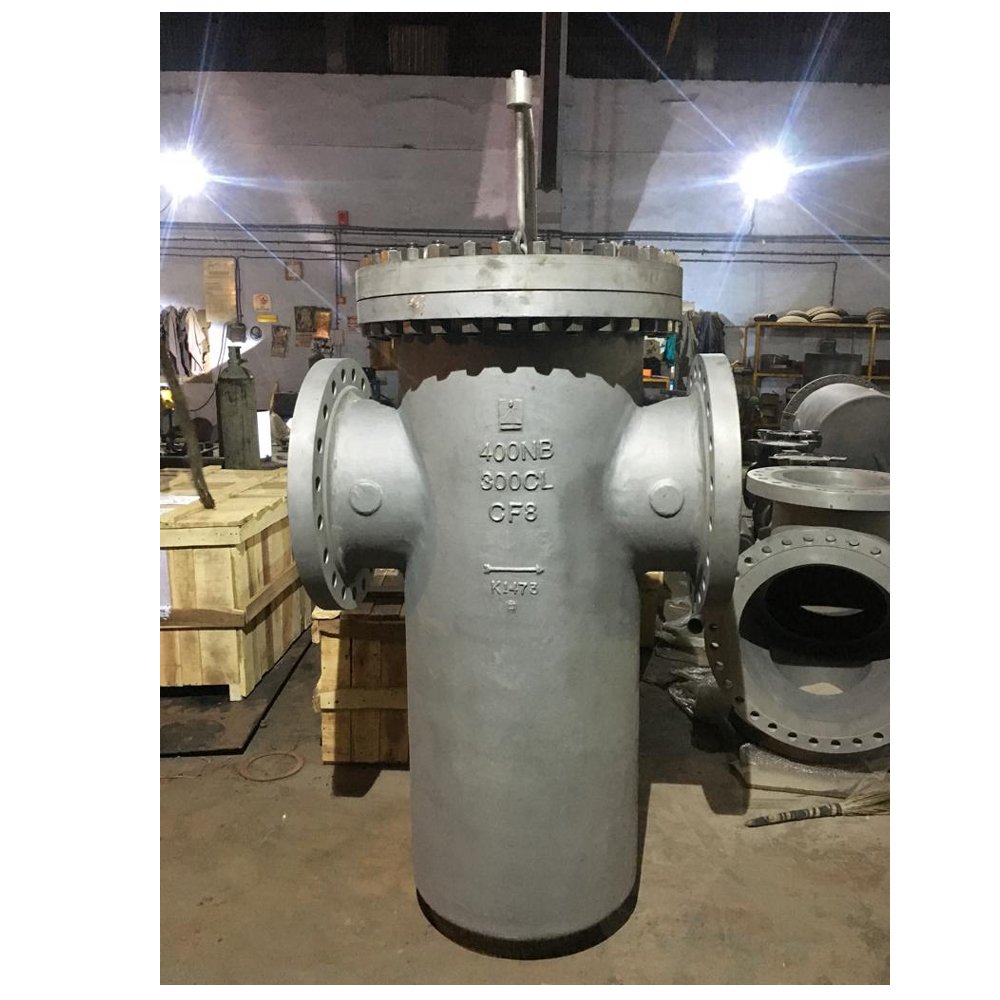 400NB 300Class Cast strainer for Reliance