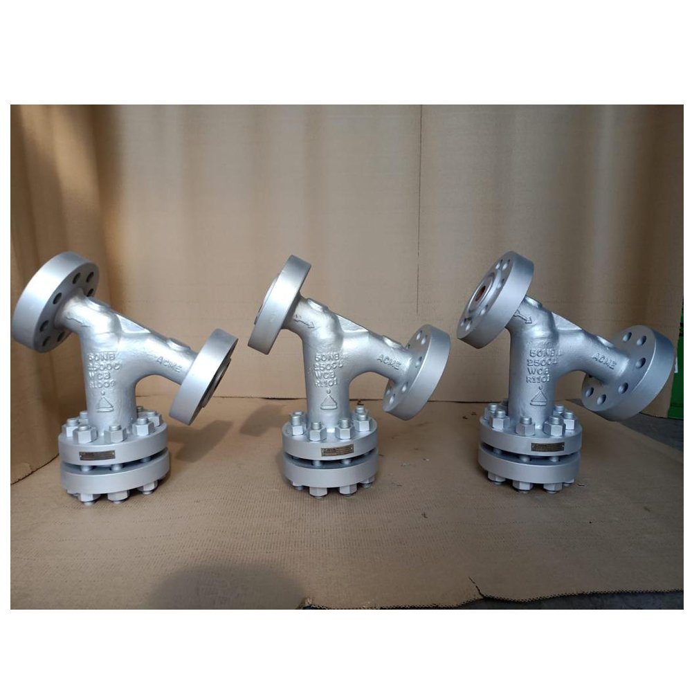 50NB 2500 Class Strainers for CNG Application