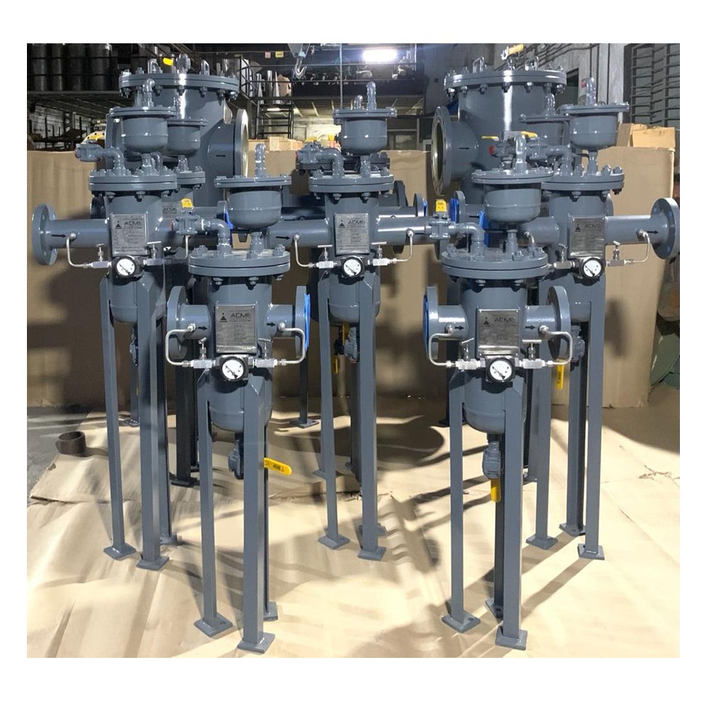 Basket Strainers with Air Eliminator and DP Gauge for Adani Hazira Port