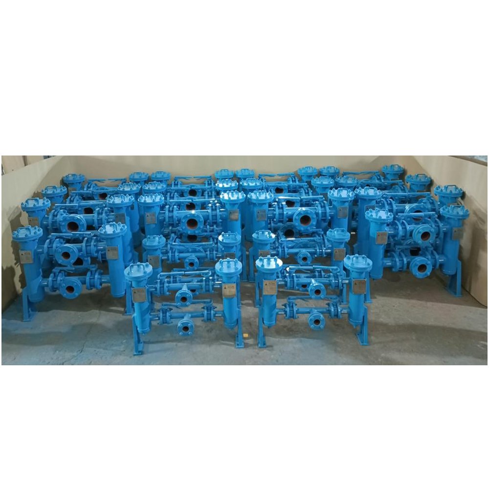 Duplex Basket Strainers for NTPC