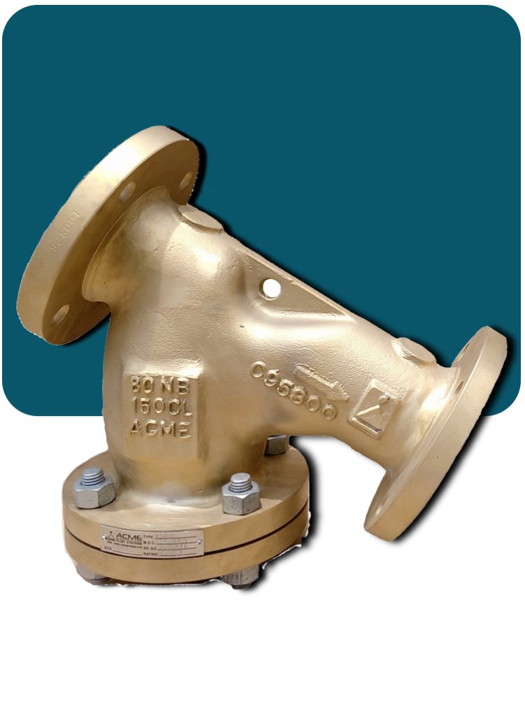  Y Type Strainers
